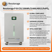 Batterie LiFePO4 compacte murale 0,08 m 48V 314Ah 16,08kWh avec roulettes industrielles pour déploiement rapide sur réseau hybride domestique