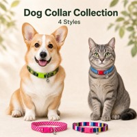 Collier pour chien classique arc-en-ciel coloré, imprimé abstrait, sangle en nylon, boucle en plastique, anneau en D, clochette, réglable, à libération rapide, léger