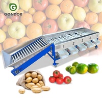 Fruit-, groente-, ui-, blad-, kersentomaat-, pruimen-, appel- en avocado-sorteermachine en reinigingslijn