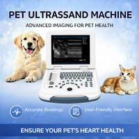 Échographe vétérinaire de base pour l'examen routineur des animaux de compagnie (chiens et chats)