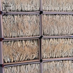 Changbai Dağından Toptan Güneşte Kurutulmuş <span class=keywords><strong>Ginseng</strong></span> Yan Kök Şeritleri Gıda Sınıfı Toplu Paket 10g'lık Poşetlerde - Product Image 1