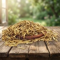 Le nourrissage le plus sain et le plus sûr pour les animaux de compagnie : Vers de farine Eco Fresh pour salamandres, grenouilles, oiseaux