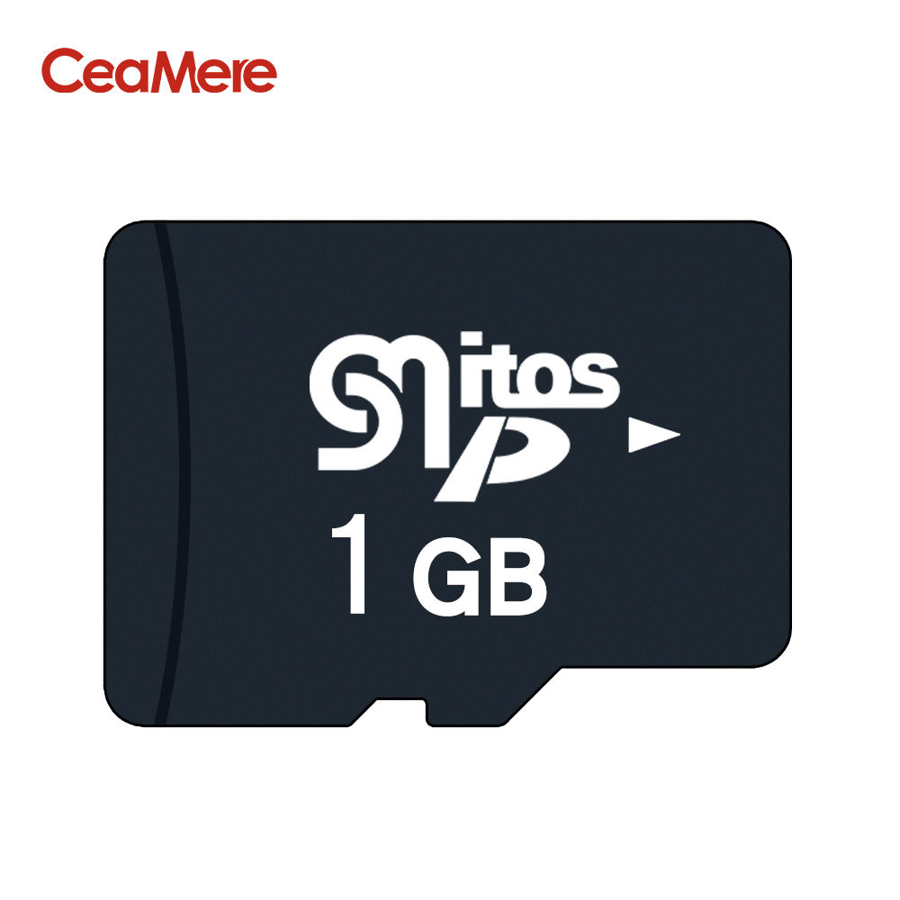 1GB C6