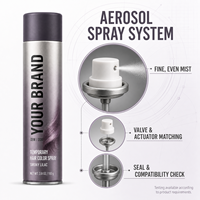 Spray Colorant Capillaire Temporaire Sans Décoloration Qualité Supérieure Rose Vif Bleu Violet Rouge Fournisseur OEM ODM en Gros