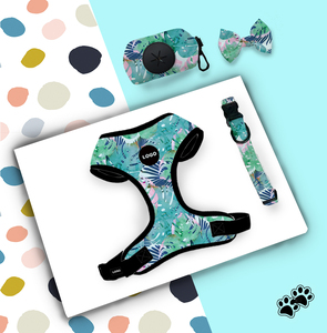 Benutzer definierte Box Hund Produkt verstellbare Hunde geschirr Weste Premium Hunde geschirr accesorios para mascotas correas para perros y gatos - Product Image 4