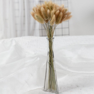 G46 Home decorations DIY Bouquet 60pcs Wedding <span class=keywords><strong>Detor</strong></span> Séché Conservé Bunny Tails Grass Flower Multicolor Rabbit Tail Grass - Product Image 4