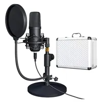 Bm 800 usb הקבל מיקרופון מקצועי מתכת קול אולפן