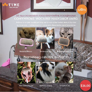 Cepillo de acero inoxidable de estilo sencillo al por mayor, herramienta de aseo para mascotas de alta calidad para depilación de perros y gatos, Material ABS de madera - Product Image 4