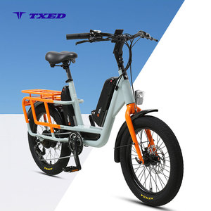 TXED Food <strong>Delivery</strong> Motorcycle Bicycle Rear Hub Motor Alloy Frame 48v 250W 7-speed <strong>Electric</strong> City <strong>Bike</strong> LCD Panel Fast Cargo <strong>Bike</strong> - Product Image 1