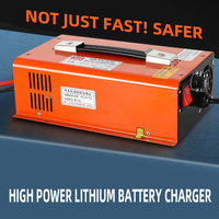Chargeur de batterie au phosphate de fer au lithium 12v haute puissance standard britannique ternaire 24V 48V60 alimentation à découpage