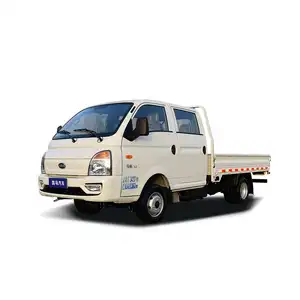 Hot sale China Isuzu Motors brand 4x2 double cabin Euro V mini cargo truck