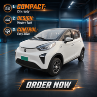 Offre Spéciale Nouvelle Énergie Véhicule Électrique Mini SUV Quatre Roues Motrices pour Adultes Propulsion Arrière 50kW Autonomie 100km Fabriqué en Chine à Prix Abordable