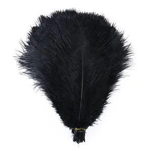 Large Black Ostrich Feather 20 Pieces 8-10" Craft Feather for Floral Arrangements, Mardi Gras Parties and Wedding Cake Toppings