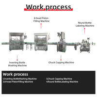 Complete passievruchtensap verwerkingslijn 200-1000ml fles servo vul-, afsluit- en etiketteermachine