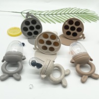 Sucette personnalisée écologique pour enfants, sucette à fruits frais pour bébé, sucette à nourriture pour bébé avec plateau de congélation en silicone pour aliments pour bébés
