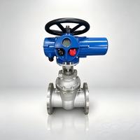 Válvula de Compuerta de Acero Inoxidable 3"/4"/6"/8" DN80/DN100/DN150/DN200 316L/304/CF8M/Duplex 2205 Clase 300 con Brida RTJ