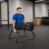 Barres parallèles NJ 17,5 x 14 pouces, barres de pompes et de dips pour exercices de calisthénie, mini barres de gymnastique pour tractions et dips