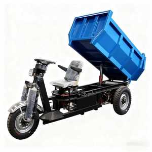 Tricycle électrique Dumper Mini Farm Tricycle Benne Basculante Cargocamiones Miners Amortiguadores Triciclo avec de bons prix à <span class=keywords><strong>Trujillo</strong></span> - Product Image 4