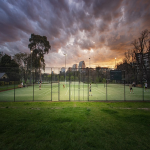 سياج كرة سلة عالي الجودة 4 قدم 5 قدم 6 قدم 8 قدم 10 قدم رابط سلسلة للمنازل متوفر بأحجام 5 قدم و 10 قدم - Product Image 6