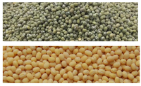 Machine d'épluchage et de fractionnement de soja/pois chiche/pois 500kg/heure pour machine de nettoyage de haricots