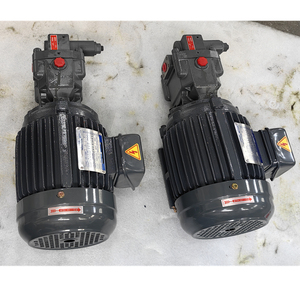 ปั๊มไฮดรอลิกแบบลูกสูบแกนหมุนปรับได้ P8VMR-10-CB-10+0.75KW สำหรับเครื่องจักรก่อสร้าง ผลิตภัณฑ์แรงดันสูง - Product Image 2