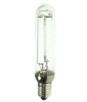 Vente d'usine 100W SON-T lampe à vapeur de sodium HPS ampoule E27 E40 base