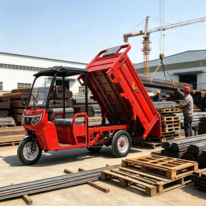 Tricycle populaire avec cabine, trike à 3 roues, moto à trois roues pour adultes, utilisation pour le transport agricole et la livraison - Product Image 1