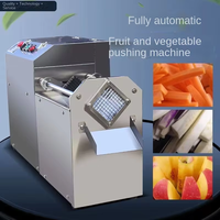 Coupe-légumes facile à utiliser, machine à couper les chips de pommes de terre en bâtonnets, 220V 110V