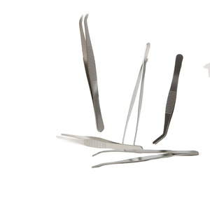 <span class=keywords><strong>Pinzas</strong></span> Profesionales <span class=keywords><strong>de</strong></span> Acero Inoxidable con Dientes para Curaraciones, Herramientas <span class=keywords><strong>de</strong></span> Precisión para <span class=keywords><strong>Laboratorio</strong></span> - Product Image 1