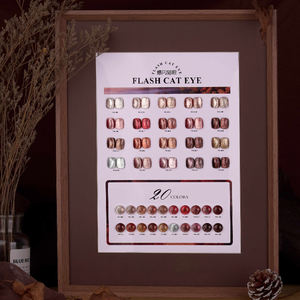 2024 UV Nail Cat Eye Collection Hiver et Automne Gel Vernis <span class=keywords><strong>Couleur</strong></span> avec Poudre Magnétique <span class=keywords><strong>Facile</strong></span> à Dessiner un Oeil de <span class=keywords><strong>Chat</strong></span> Lumineux - Product Image 5