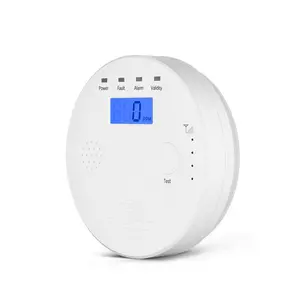 Hot Selling Wholesale Retail Carbon Monoxide Co Detector Battery Gas Detector Co Leak Alarm For Gym Home