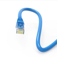 Cable de Conexión Plano FTP de PVC Verde Kneysum de 0.5m, 32AWG, 8 Conductores de Cobre Trenzado CAT6 con Fibra G652D, China