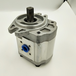 Bomba de Aceite para Grúa Grande CBK1008/1010/1016-A1FR, Bomba de Engranajes CBK1012/16-B4FR, Bomba de Engranajes Hidráulica CBK1016-A15FL - Product Image 6