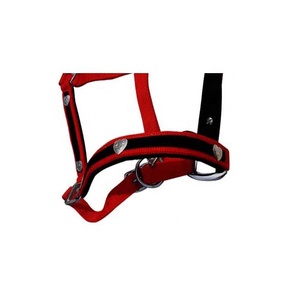 Haute qualité Nylon PP cuir cheval corde licou personnalisable Logo Style confortable et élégant emballé dans des pièces pour la vente en gros - Product Image 6