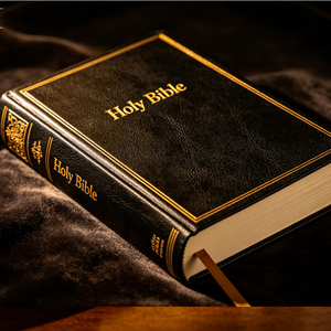 Biblia Profesional NIV en <span class=keywords><strong>Inglés</strong></span> con Letra Grande, Impresión de Biblia Personalizada con Tapa Dura OEM, Fabricante de Impresión de Biblia Personalizada de Alta Calidad - Product Image 3