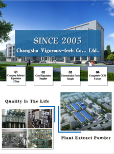 ผงซินเนนซิสส้มผงผลไม้สีส้มสำหรับเครื่องดื่มตัวอย่างฟรี ISO22000 - Product Image 3