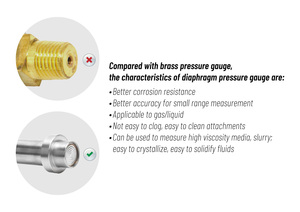 Industriële Roestvrijstalen <span class=keywords><strong>100Mm</strong></span> 100 Bar Diafragma Manometer Voor Corrosieve Media, Chemische Vezels, Verven, Farmaceutisch - Product Image 4