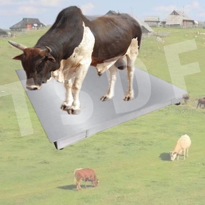 Quy mô nền tảng điện tử SCS có thể được sử dụng trong các trang trại để cân Lợn và bò sống hoặc các vật nặng khác với đồng hồ hiển thị LCD - Product Image 3