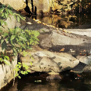 Filet d'étang à poissons de taille personnalisée de 2cm Filet tissé de <span class=keywords><strong>protection</strong></span> des vergers Filet anti-<span class=keywords><strong>oiseaux</strong></span> Filet anti-feuilles - Product Image 6