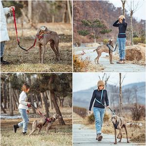 Freihändige Hundeleine mit Verstellbarem Geschirr Bungee-Leine Doppelgriff zum Spazierengehen Einziehbar Anpassbares Logo Verstellbar - Product Image 3