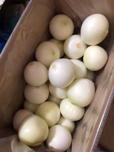 Chinesische niedrige Preis frische Zwiebeln rote Zwiebeln 5-8/6-9cm Größe geschälte weiße Zwiebel zum Verkauf - Product Image 6