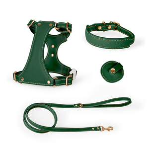 Tùy Chỉnh Airtag Con Chó Khai Thác Và Dây Xích Thiết Lập Cá Nhân Thiết Kế Sang Trọng Không Thấm Nước Vegan Da Vật Nuôi Cổ Áo Ngực Phụ Kiện - Product Image 3