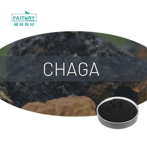 Оптовая продажа, пищевой натуральный экстракт грибов чага, порошок черного золота чага - Product Image 1