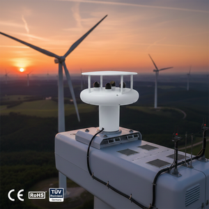 저렴한 가격 RS485 60 m/s 풍속 및 방향 2 in 1 초음파 기상 관측소 계기 해양 풍속계 보트 풍속계 - Product Image 6