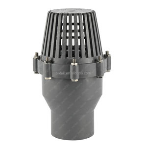 Válvula de Pie de PVC PNTEK para Bomba de Riego, Succión de 1/2\"-4\", Rosca NPT BSPT DN15-100, Accionamiento Manual, Venta al por Mayor de Fábrica - Product Image 1