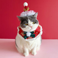 Ensemble de 25 chapeaux de Noël pour animaux de compagnie, motif dessin animé, pour chats et chiens, avec bavoirs anti-bave mignons et écharpes du Nouvel An rouges et vertes