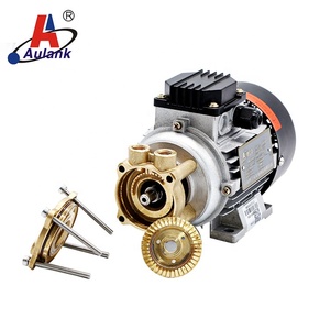 200 Degree High Temperature Oil Pump - Product Image 6