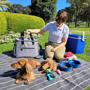 Ensemble de sacs de voyage pour chiens de compagnie aérienne approuvé 2 bols d'eau pliables conteneur de nourriture organisateur accessoires week-end chien sac de voyage - Product Image 4