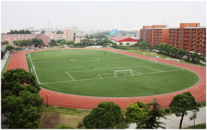 Không làm đầy xu hướng mới bóng đá cỏ nhân tạo bóng đá 30mm cỏ nhân tạo - Product Image 3