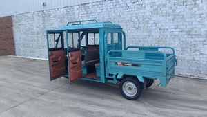 Электрический грузовик с Заводской настройкой, домашний взрослый грузовой мотоцикл, закрытые 4 двери, просторные электрические трехколесные велосипеды - Product Image 4